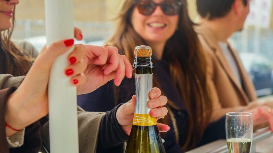 Amsterdam: Dutch Prosecco Party Bike - Meeting Point at Rhoneweg 1, Then Straight Into Sloterdijk