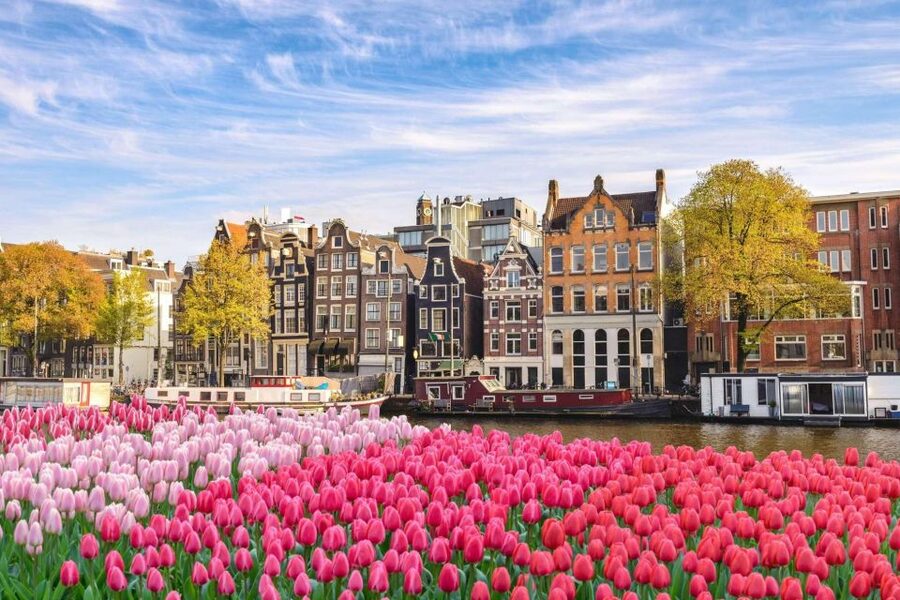 Amsterdam Family Friendly Historical Walking Tour - Should You Book This Amsterdam Family Friendly Historical Walking Tour?