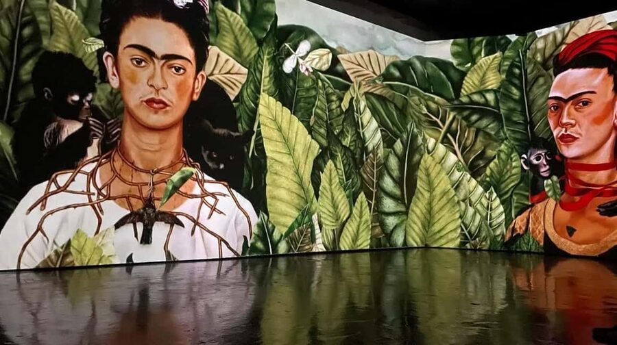 Amsterdam: Frida Kahlo Immersive & Photo Exhibition - Key highlights at a glance