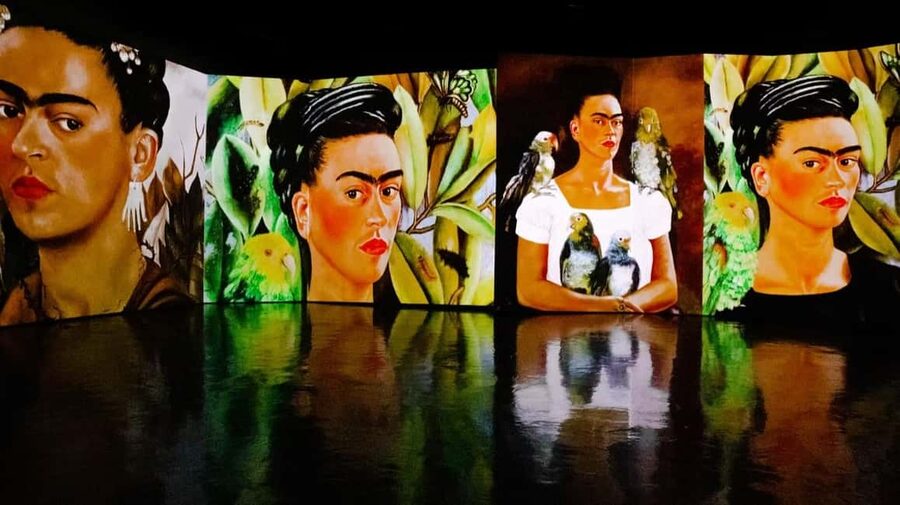 Amsterdam: Frida Kahlo Immersive & Photo Exhibition - Where Vincent Hall puts you, close to Amsterdam Centraal