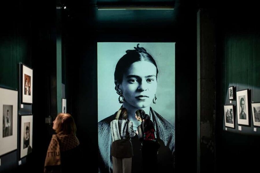Amsterdam: Frida Kahlo Immersive & Photo Exhibition - Price and value, what $28 gets you