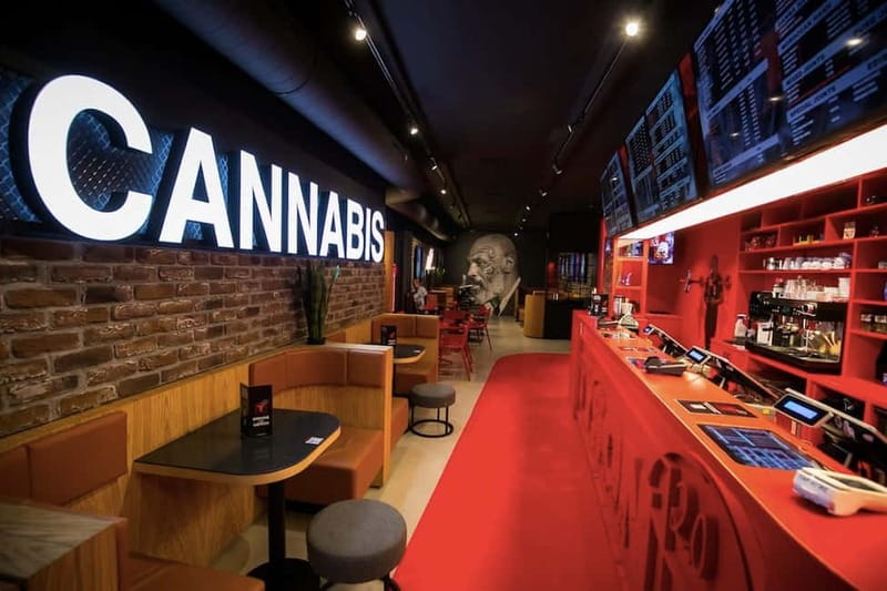 Amsterdam: Ganja Walking Tour - A Tour Built for Day One Clarity