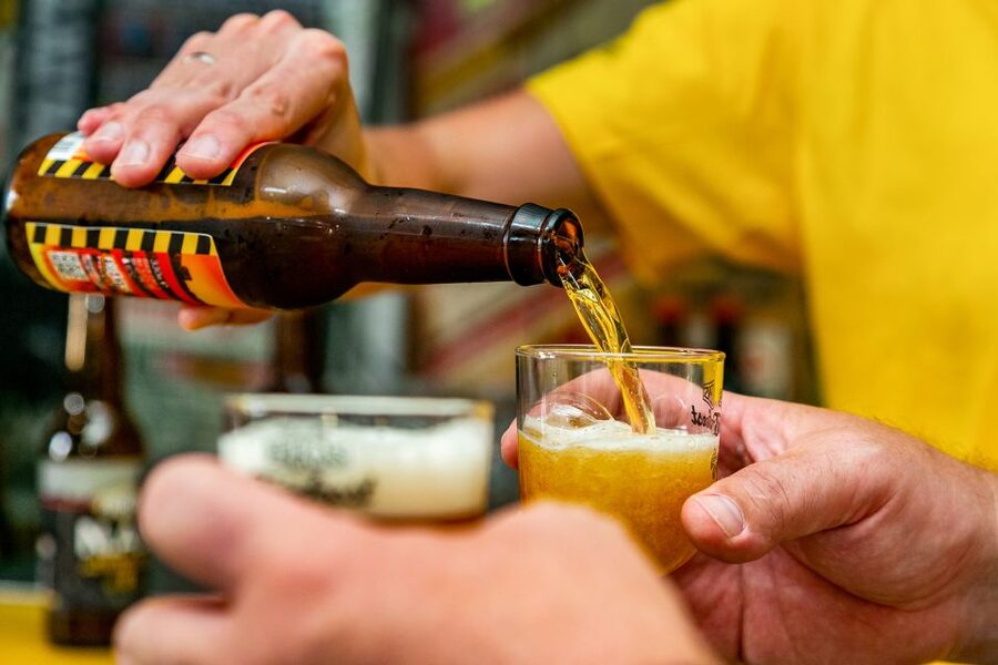 Amsterdam: Guided Craft Beer Brewery Bus Tour with Tastings - What’s Included, What’s Not, and Why Food Is a Smart Choice