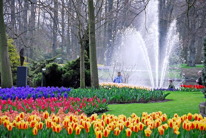 Amsterdam: Half Day Guided Keukenhof Tulip Garden Tour - From Amsterdam to Lisse in Comfort