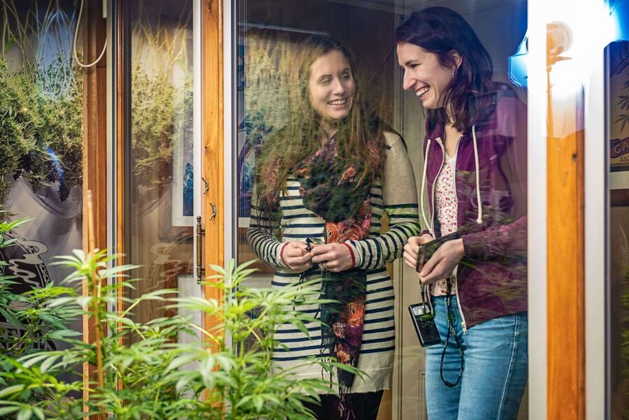 Amsterdam: Hash, Marihuana, and Hemp Museum Entry Ticket - Key highlights that make this ticket worth it