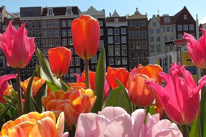 Amsterdam Highlights and Hidden Gems Walking Tour with Fun Guide - The Canal Ring bridges: where the views and the walking both work