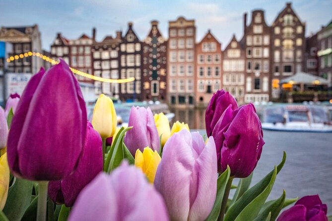Amsterdam Highlights Walking Tour - Key points to know before you go
