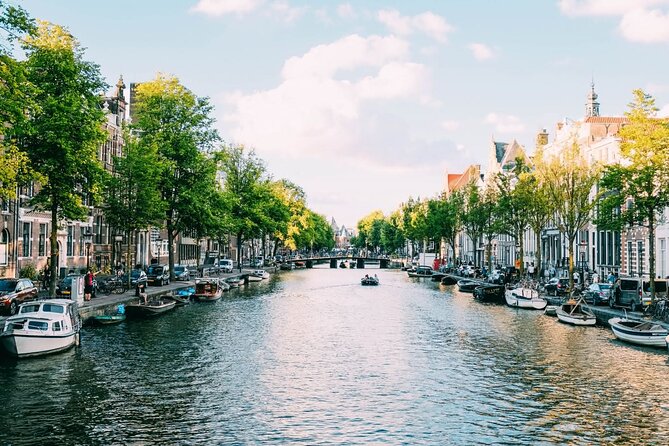 Amsterdam Highlights Walking Tour - Dam Square: Royal Palace Views and National Monument Focus