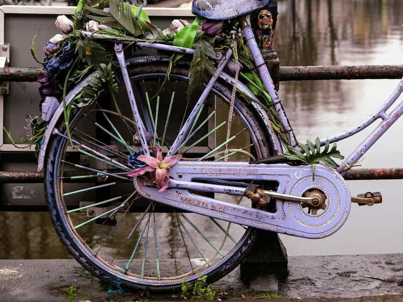 Amsterdam: Iconic Canals & Historic Sights Walking Tour - Key Highlights You’ll Notice Fast