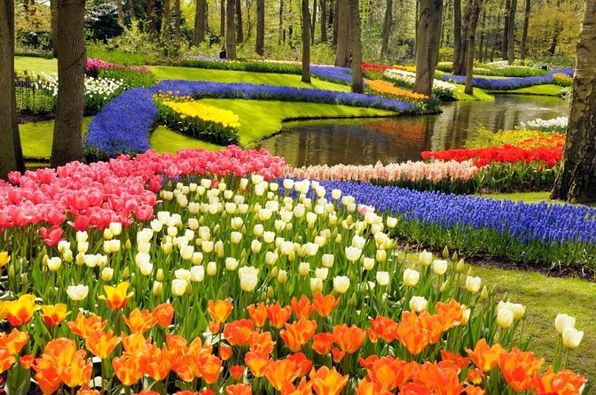 Amsterdam: Keukenhof and Zaanse Schans Windmills Guided Day Trip - Key highlights to look for