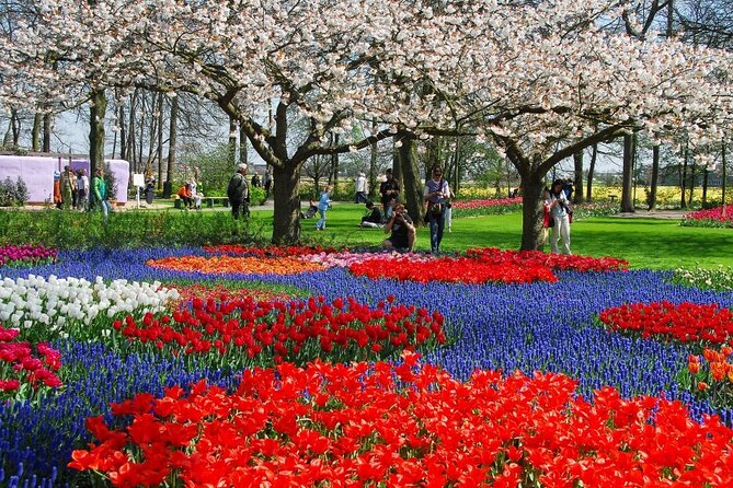 Amsterdam: Keukenhof Entry & Shuttle Bus with Flexible Return - Optional Add-On: Amsterdam Canal Cruise Time