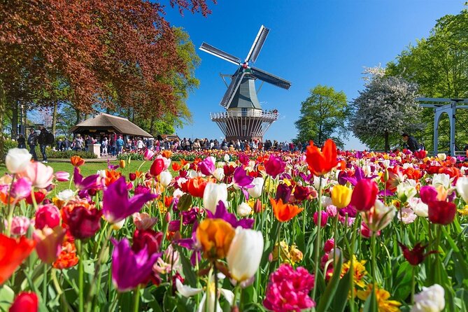 Amsterdam: Keukenhof Entry & Shuttle Bus with Flexible Return - Getting to This is Holland: The Free Ferry Beat