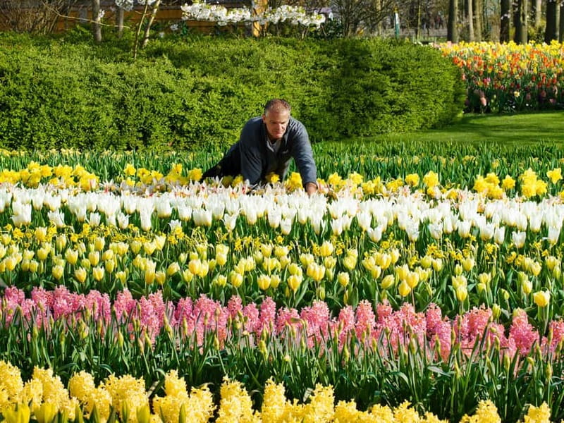 Amsterdam: Keukenhof Entry & Shuttlebus with Flexible Return - Key highlights at a glance