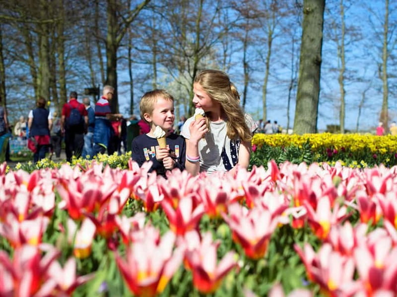 Amsterdam: Keukenhof Entry & Shuttlebus with Flexible Return - Amsterdam to Keukenhof, minus the transport headache