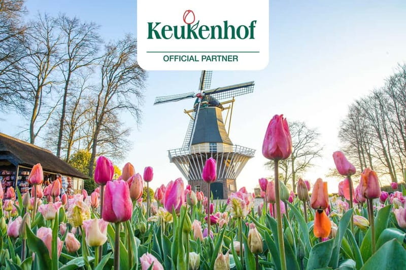 Amsterdam: Keukenhof Entry & Shuttlebus with Flexible Return - The coach ride, comfort, and why guaranteed seats matter