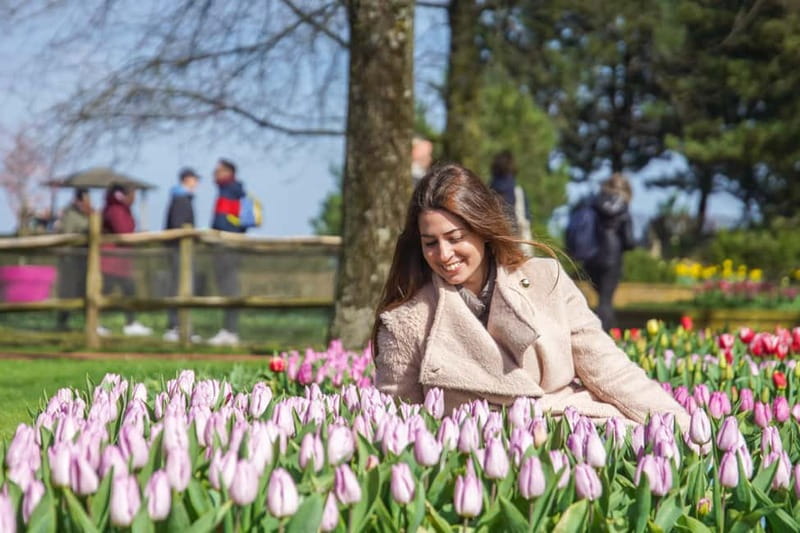 Amsterdam: Keukenhof Entry & Shuttlebus with Flexible Return - Keukenhof on your own schedule, what to prioritize