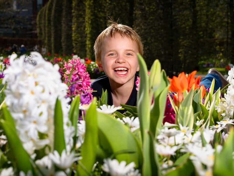 Amsterdam: Keukenhof Entry & Shuttlebus with Flexible Return - Returning to Amsterdam, the 30-minute rhythm