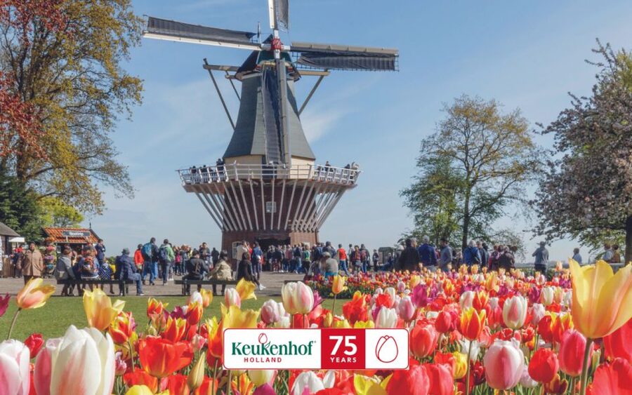 Amsterdam: Keukenhof Entry & Shuttlebus with Flexible Return - Price and value: is $41 a good deal?