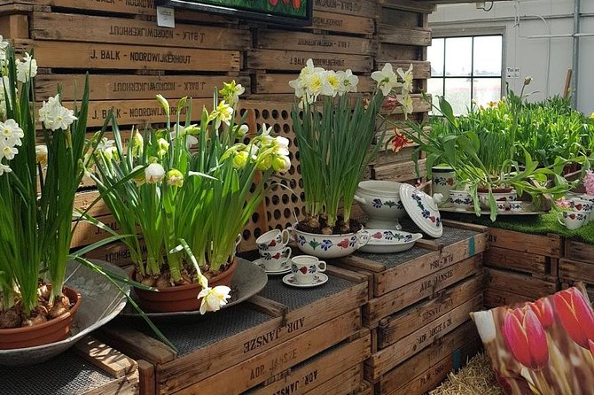 Amsterdam : Keukenhof FlowerFarm Privatetour Skip-The-Line ticket - The photo strategy that makes this day feel like a win