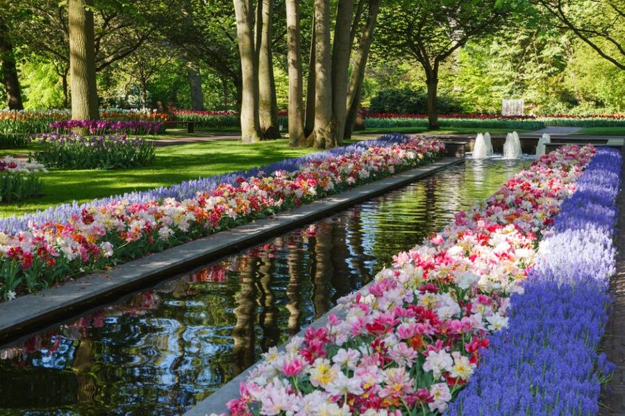 Amsterdam: Keukenhof Gardens Guided Tour Spanish and English - Key Highlights at a Glance