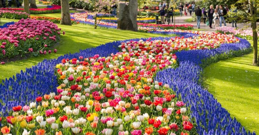 Amsterdam: Keukenhof Gardens Guided Tour Spanish and English - Amsterdam to Keukenhof: Private Coach Timing and Drop-Off Reality