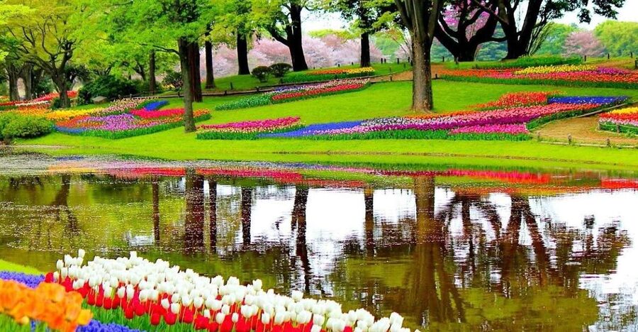 Amsterdam: Keukenhof Gardens Private Sightseeing Tour - Keukenhof in Lisse: why this day trip works so well