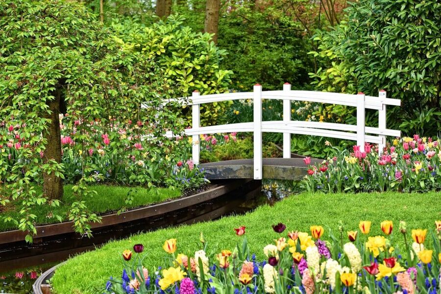 Amsterdam: Keukenhof Gardens Private Sightseeing Tour - Inside Keukenhof: millions of flowers on 32 hectares