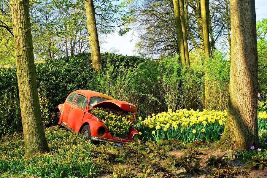 Amsterdam: Keukenhof Gardens Private Sightseeing Tour - The Mercedes pickup from Amsterdam, and the real value of a driver