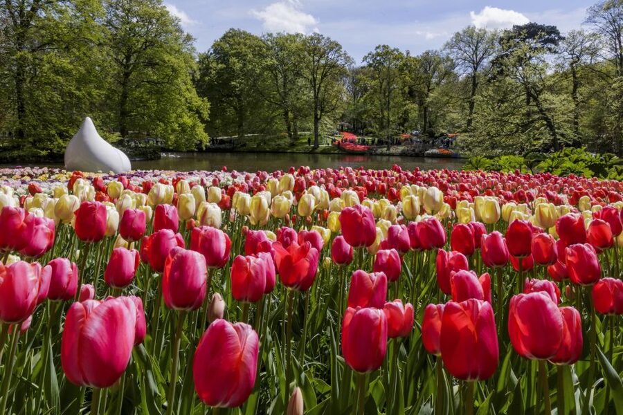 Amsterdam: Keukenhof Ticket with Shuttle Bus + Canal Cruise - Before you go: small details that prevent big annoyances