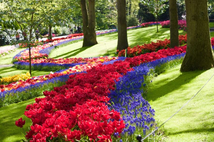 Amsterdam: Keukenhof Ticket with Shuttle Bus + Canal Cruise - Who this is best for, and who should reconsider