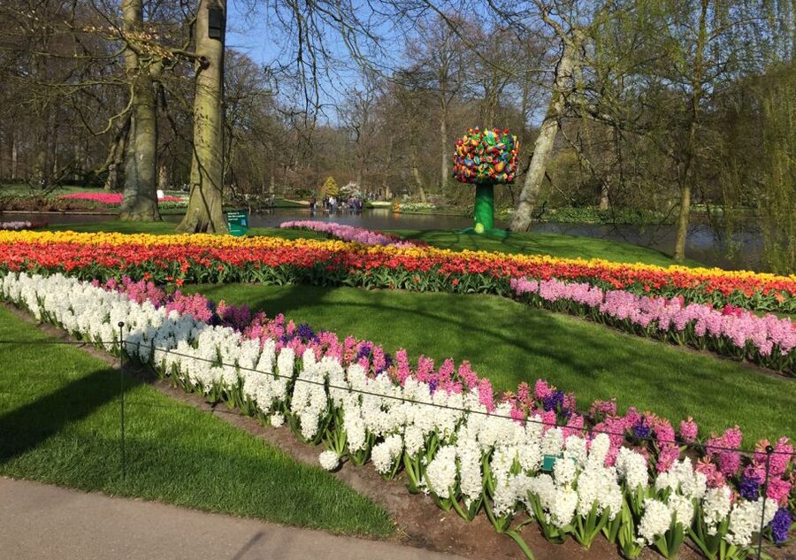 Amsterdam: Keukenhof Tulip Garden and Giethoorn Experience - Windmill and bulb-field views you will actually remember