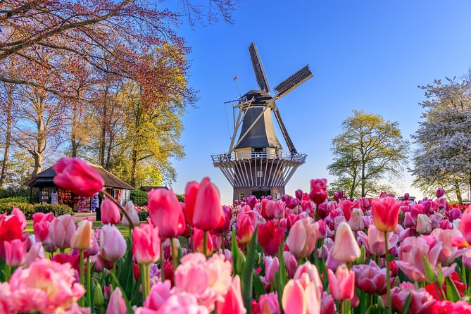Amsterdam: Keukenhof, Zaanse Schans & Volendam Tour - Key highlights you should actually care about