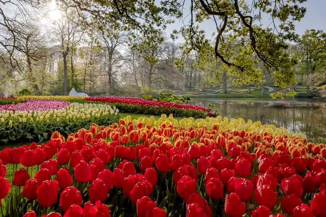 Amsterdam: Keukenhof, Zaanse Schans & Volendam Tour - Cheese Factory Volendam: demonstrations and tastings you can actually use