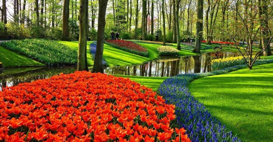 Amsterdam: Keukenhof & Zaanse Schans Windmills Private Tour - FAQ