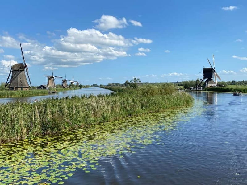 Amsterdam: Kinderdijk, Euromast, Delft and Den Haag Day Tour - Price and What You Are Really Paying For at $152