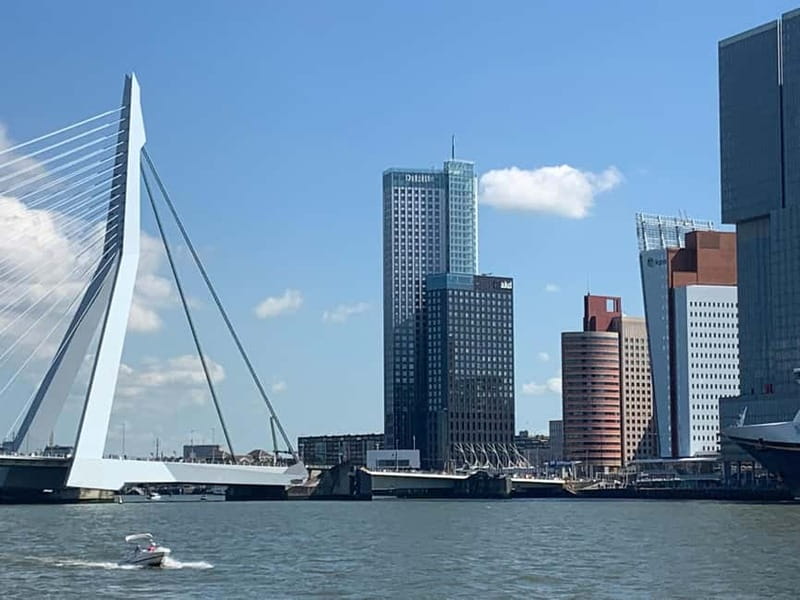 Amsterdam: Kinderdijk, Euromast, Delft and Den Haag Day Tour - Timing, Walking Pace, and the Small-Group Advantage