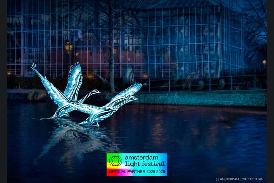 Amsterdam: Light Festival Cruise + Stroopwafel & Hot Choco - Getting on board: meeting points, timing, and comfort basics