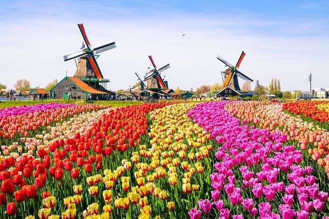 Amsterdam Pass: 45+ Things To Do - Includes Rijksmuseum - The “keep it weird” mix: This Is Holland, Our House, and the Pipe Museum
