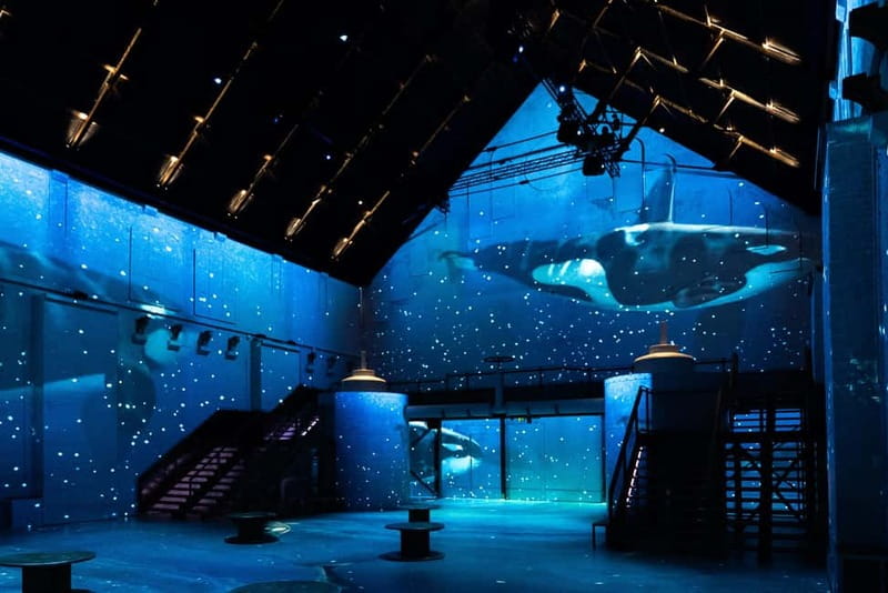 Amsterdam: Prehistoric Planet Immersive Experience Ticket - A dinosaur show built for Fabrique des Lumières