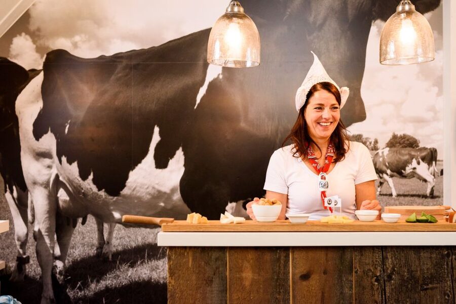 Amsterdam: Premium Henri Willig Cheese Tasting Experience - Quick Take on This Henri Willig Cheese Tasting