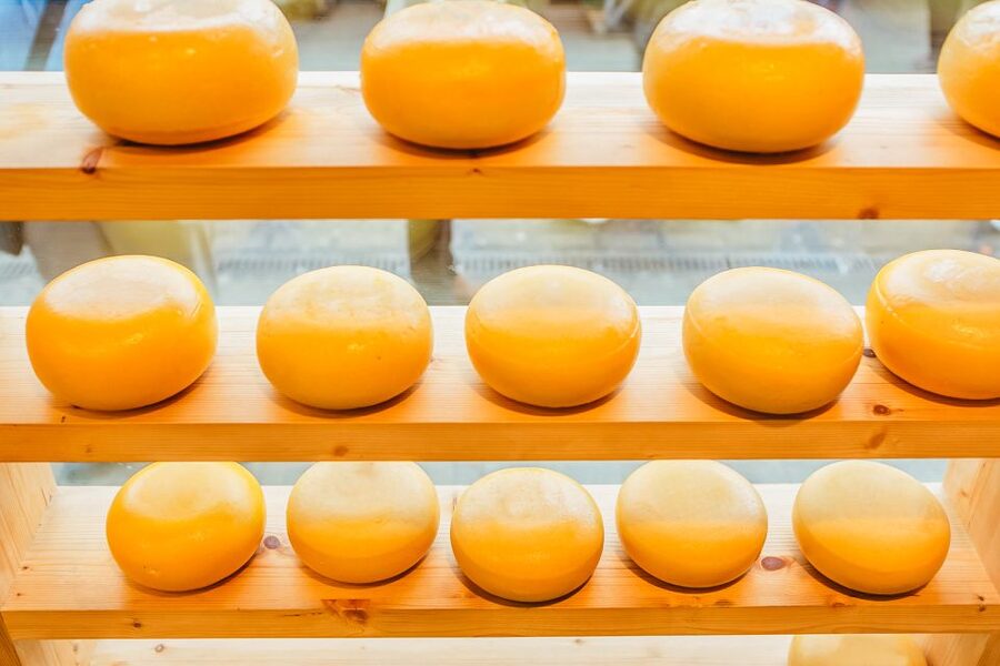 Amsterdam: Premium Henri Willig Cheese Tasting Experience - 10% Off at the Shop: How to Use This Discount Like a Pro