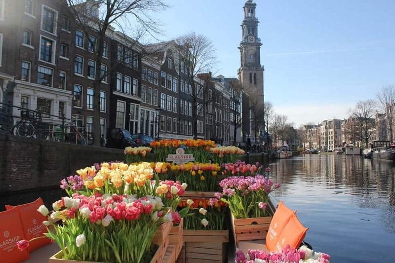 Amsterdam: Premium Tulip Boat Canal Tour - The 1-Hour Cruise Route: Anne Frank House, Bridges, and the Golden Bend