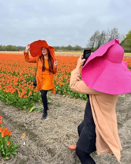 Amsterdam: Private Keukenhof and Free Tulip Tour - Key highlights worth planning around