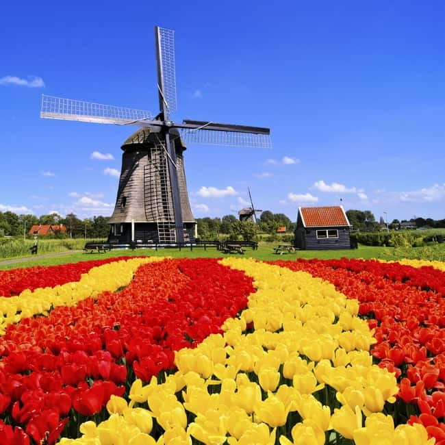 Amsterdam: Private Keukenhof and Free Tulip Tour - A private Keukenhof day starts with your own driver