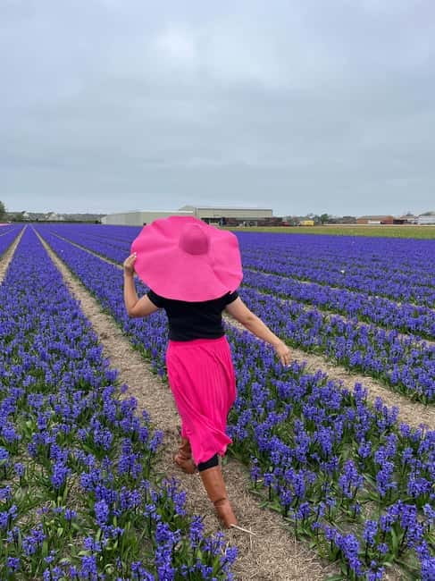 Amsterdam: Private Keukenhof and Free Tulip Tour - Lisse tulip fields photo stop: a 45-minute bonus that changes the day
