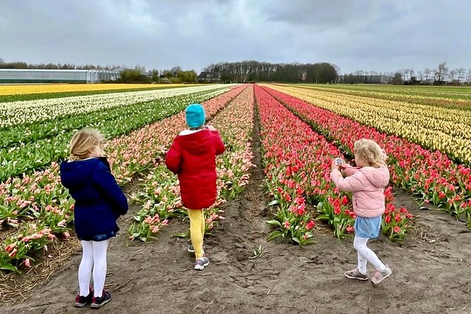 Amsterdam Private Tour to Keukenhof, Tulip Fields and Windmills - Keukenhof: the tulip plan that saves your feet and your camera time