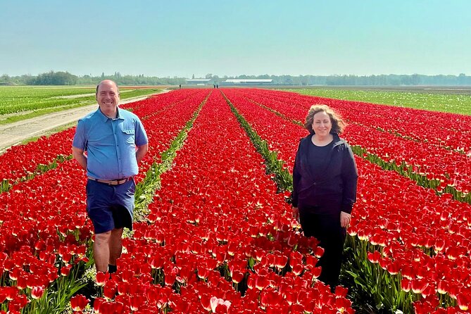 Amsterdam Private Tour to Keukenhof, Tulip Fields and Windmills - Private driver and transport: the convenience you actually pay for