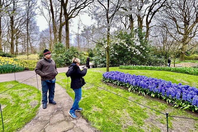 Amsterdam Private Tour to Keukenhof, Tulip Fields and Windmills - Price and value: is $391.56 per person a smart buy?