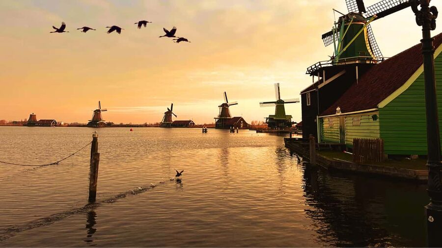 Amsterdam : Private Tour Zaanse Schans - Key highlights to expect from this Amsterdam Zaanse Schans private tour