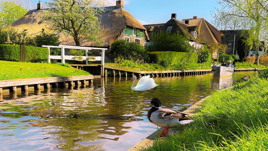 Amsterdam : Private Tour Zaanse Schans - Weather and comfort tips for North Holland day trips